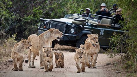best place in south africa for safari